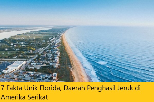 7 Fakta Unik Florida, Daerah Penghasil Jeruk di Amerika Serikat