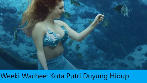 Weeki Wachee: Kota Putri Duyung Hidup