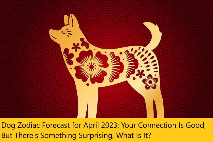 Dog Zodiac Forecast for April 2023: Your Connection Is Good, But There's Something Surprising, What Is It?