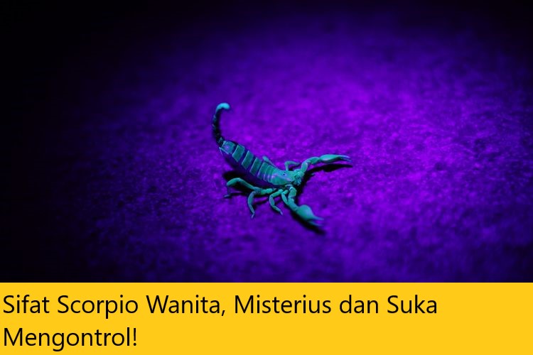 Sifat Scorpio Wanita, Misterius dan Suka Mengontrol!