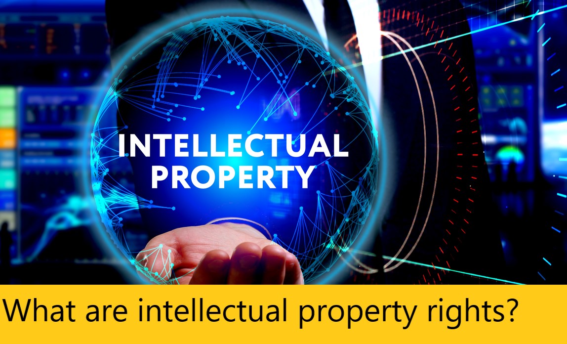 What are intellectual property rights?