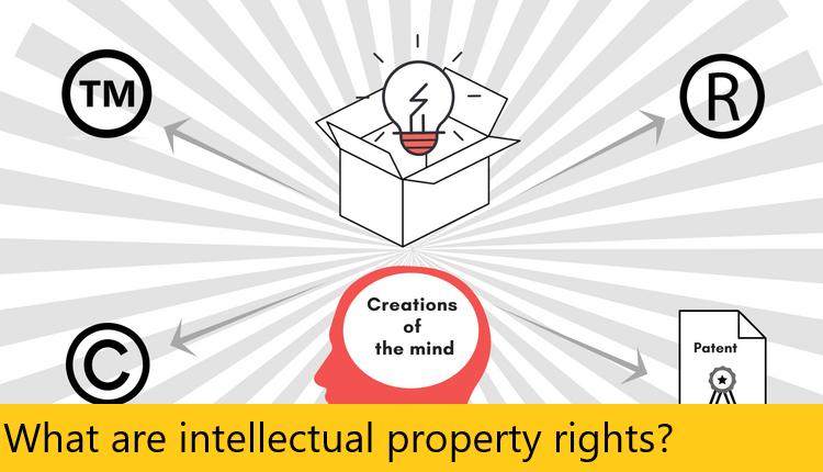 What are intellectual property rights?